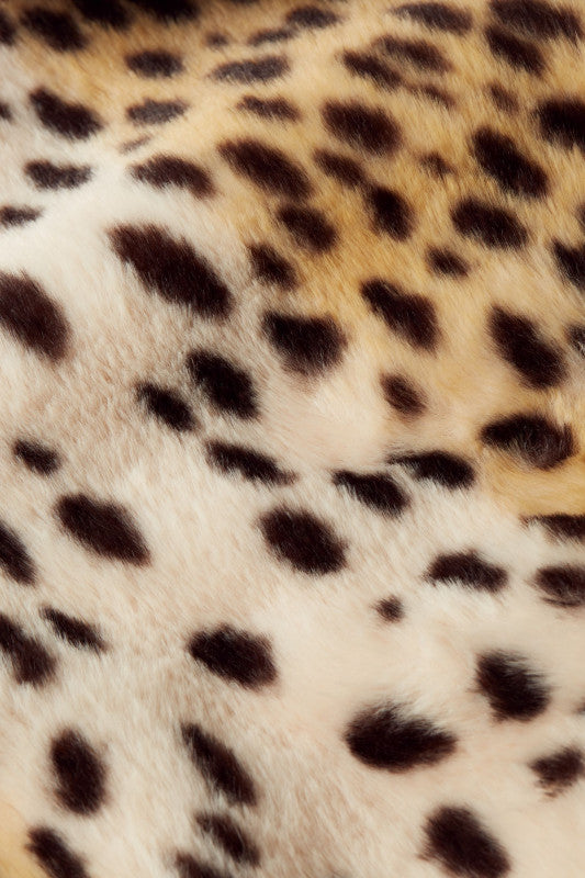 Anais Coat Cheetah Fur