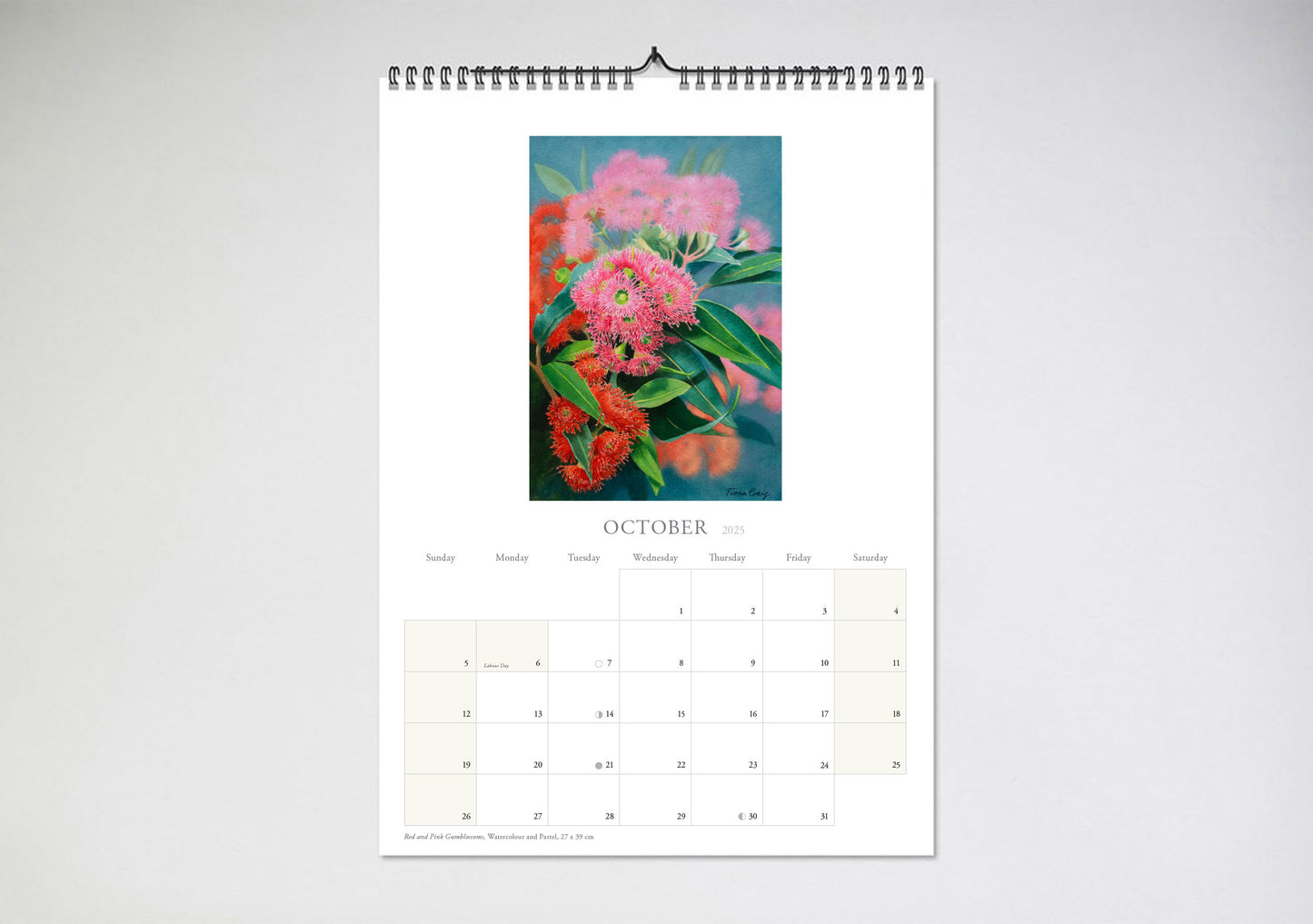 Fiona Craig 2025 Wall Calendar