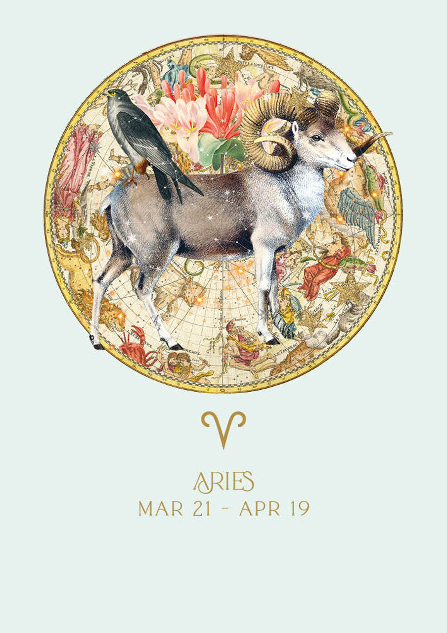 Zodiac HB – Aries