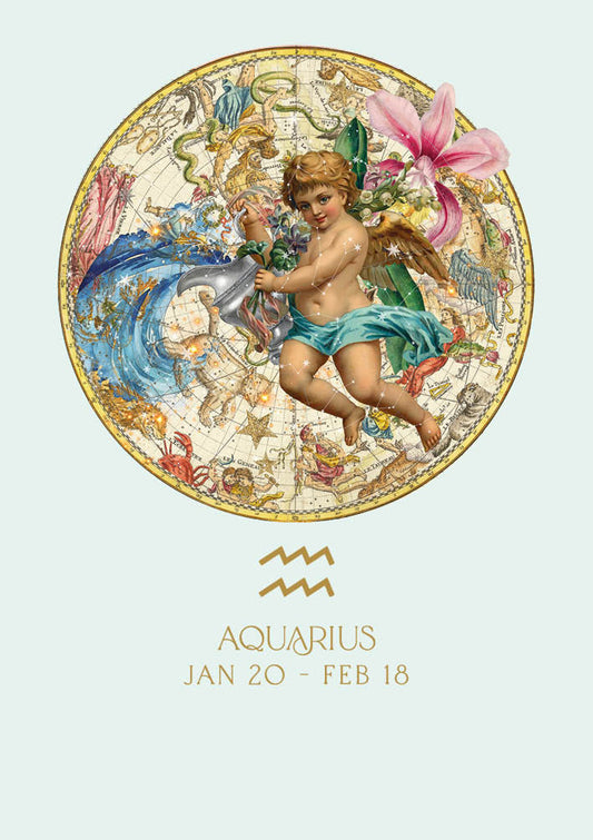 Zodiac HB – Aquarius