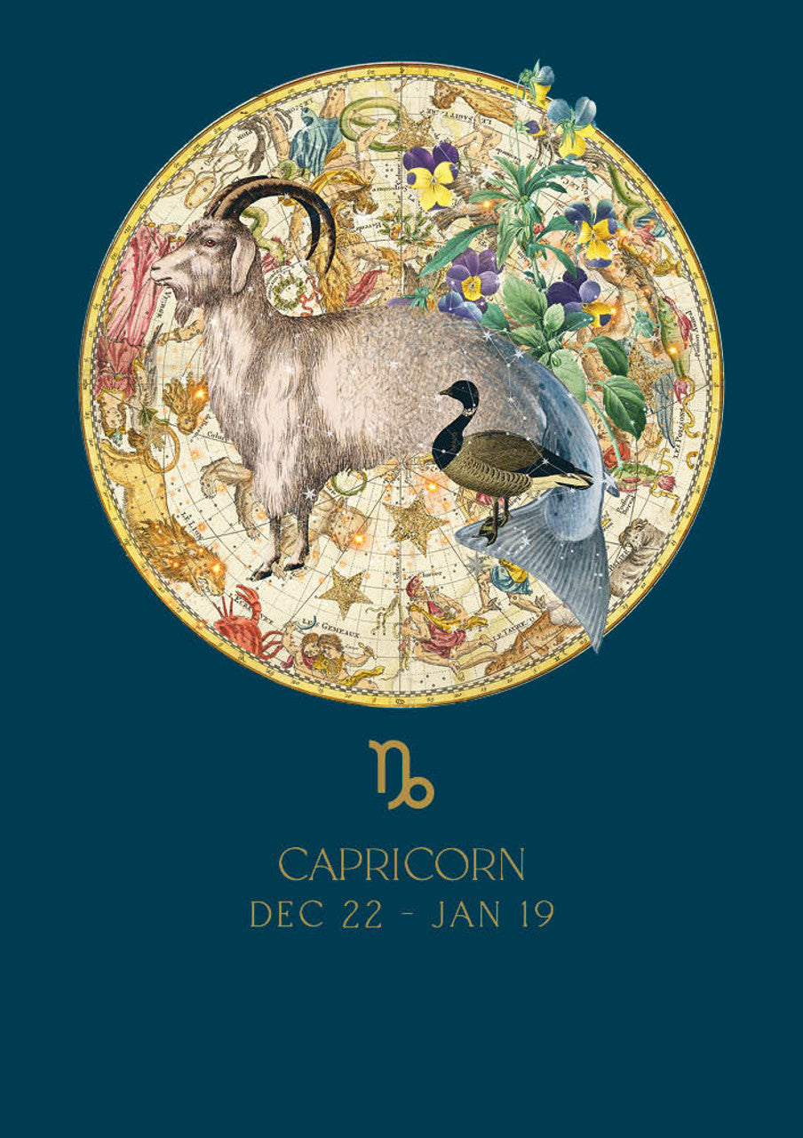 Zodiac HB – Capricorn