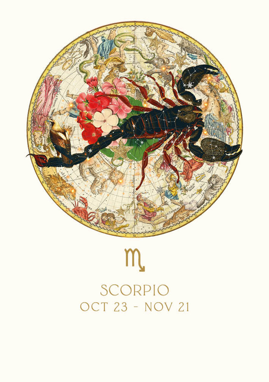 Zodiac HB – Scorpio